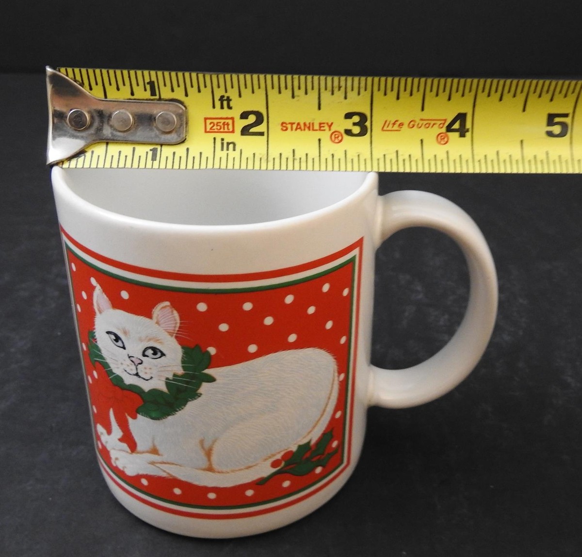 kittenです Kitten and Mom Cat Tokyo Adventure | Stepmother Takes Her to
