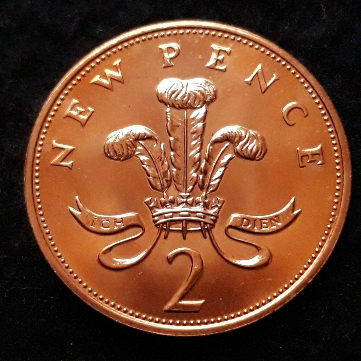Picture 3 of 65