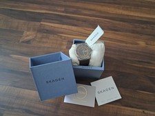 Skagen Herrenuhr Titanium