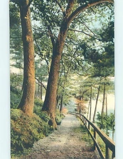 Divided-back WALKWAY BY THE PINES Haverhill Massachusetts MA d/20 AD5291