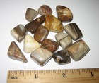 15 TUMBLED POLISHED 0.5"-0.8" PETRIFIED WOOD FOSSIL STONES MADAGASCAR 62g *3 (GG — photo 4