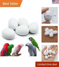 5 Pcs Hatching Eggs for Parrots, Macaws, Cockatoos, and Eclectus - 37mm x 27mm