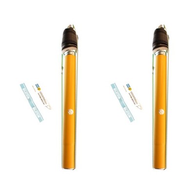 Bilstein B6 Performance Set of 2 Front Suspension Strut Cartridges for E23 733i