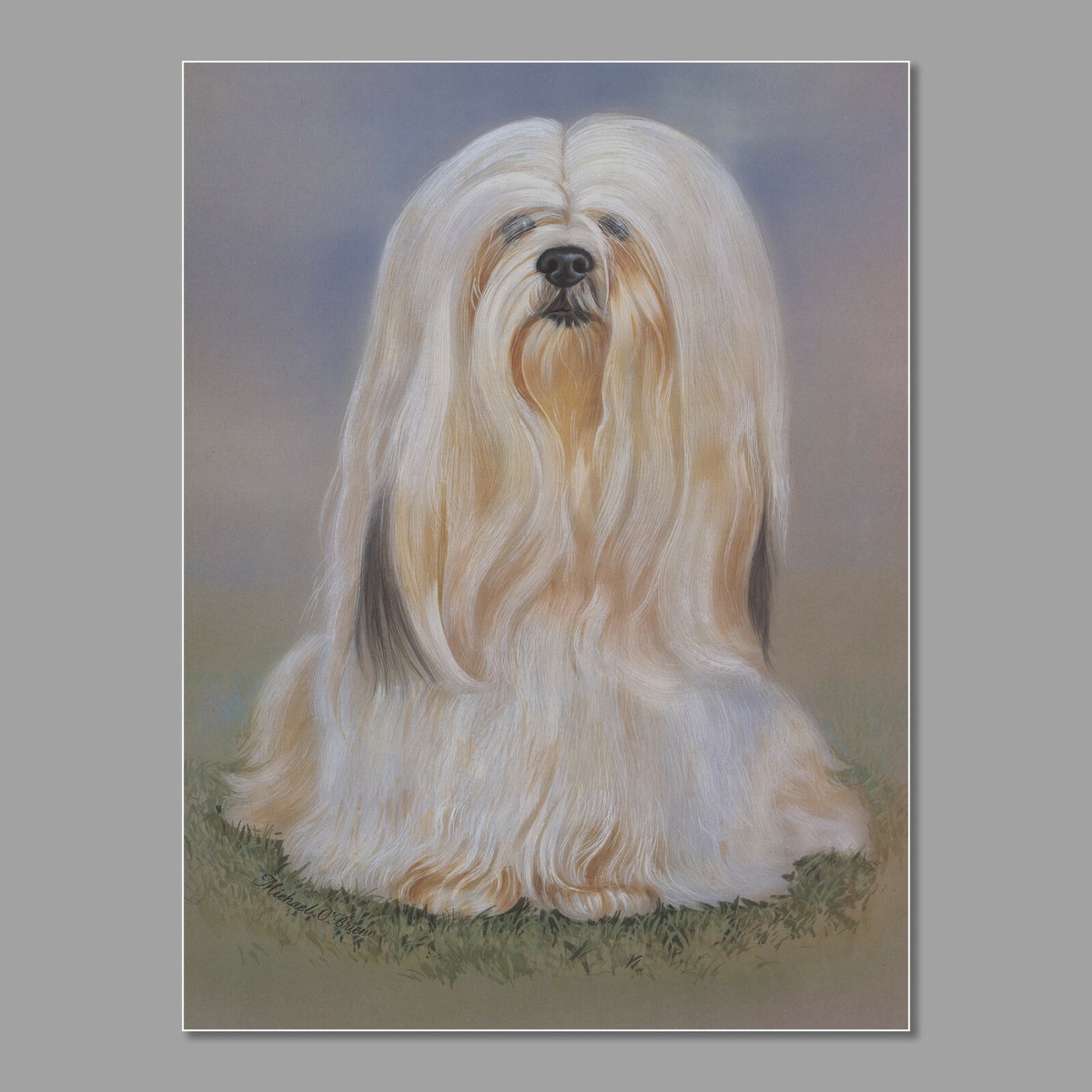 Lhasa Apso Dog Print approx 16 x 12 FREE UK POSTAGE UK