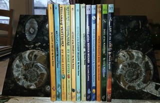 Dungeons & Dragons Endless Quest CYA Role Playing Gamebook Lot