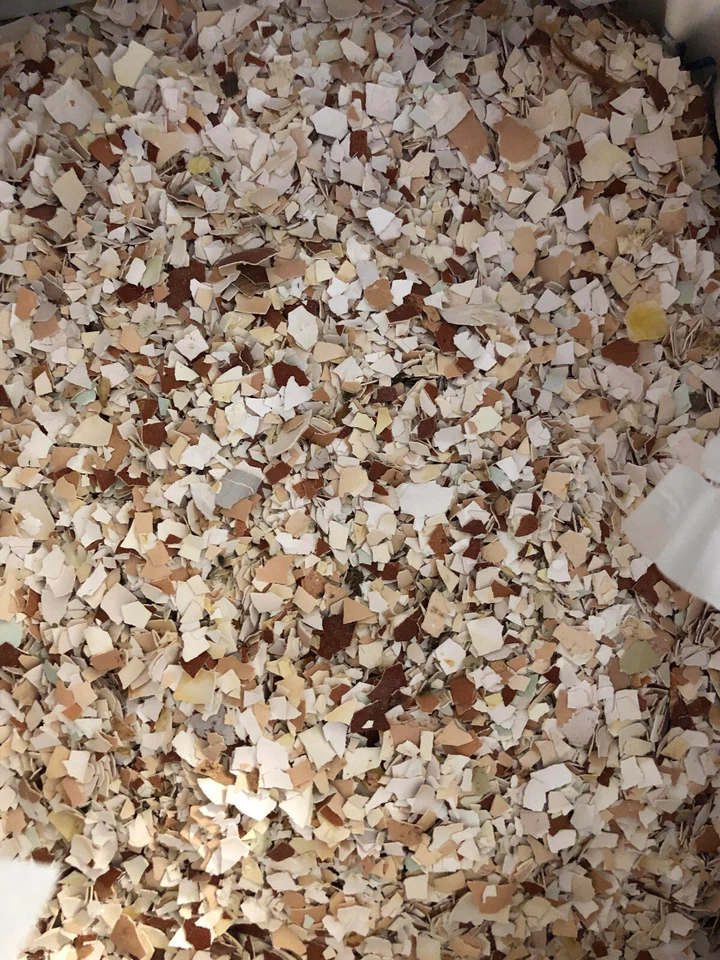 Fertilizante de calcio 10# cáscaras de huevo trituradas a granel jardín planta de interior césped Foto 2 de 4