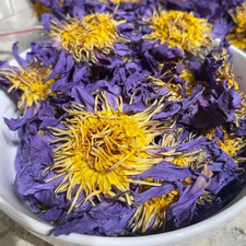 Premium Dried Blue Lotus Flower 100g Tea Nymphaea Caerulea Herbal Free Shipping