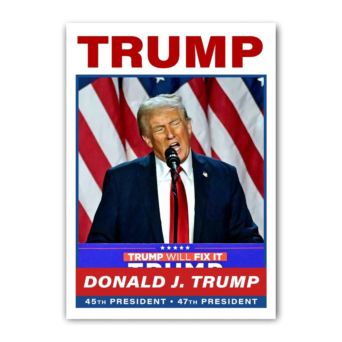 Donald Trump Victory Speech 2024 Election Night Custom
