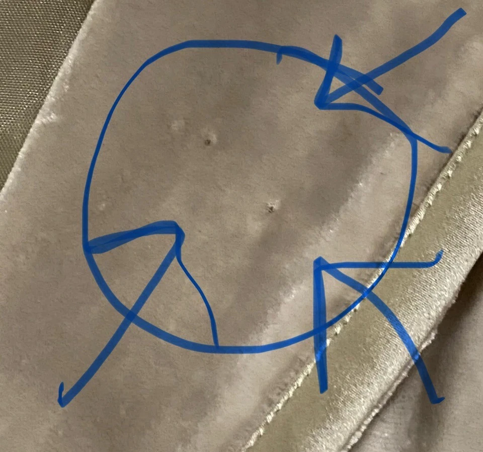 Nordstrom Mac & Jac Velvet Beige Women Size 4 Blazer Jacket Pin Holes ** - Image 3 of 4