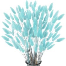 Pampasgras Trockenblumen Deko Set Tiffany Blau 60 St&uuml;ck f&uuml;r Heim Garten Blume...