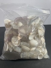 Bag of Sea Glass  Sea Shells