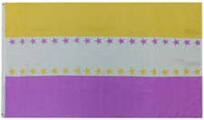 Women's Suffrage 19th Amendment 100D Woven Poly Nylon 3x5 3'x5' Flag Banner