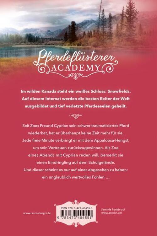 Thumbnail - Pferdeflüsterer-academy, Band 6: Calypsos Fohlen | Gina Mayer | Buch |