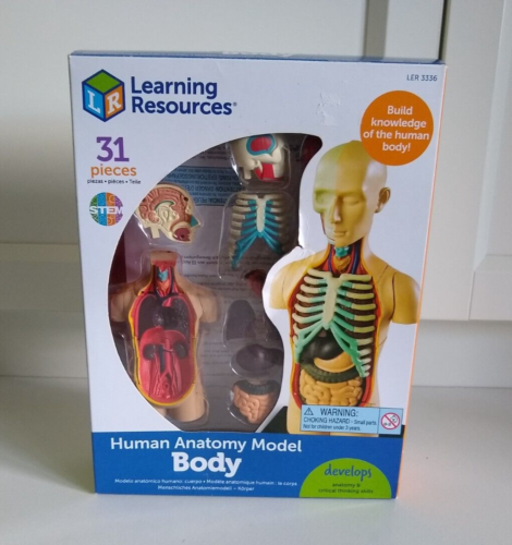 Learning Resources Human Anatomy Model Body 31 pc STEM Learning Home School - Picture 1 of 4