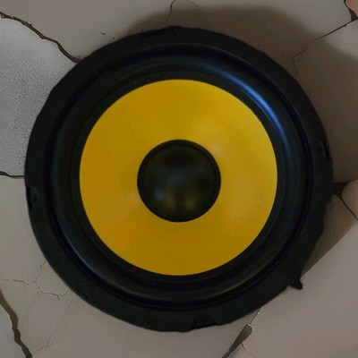 BEMINES SLD-8 8'' Woofer Replacement