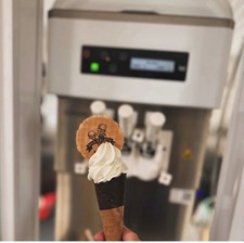 Carpigiani Soft Serve Ice Cream Van 243 T P-SP Twin Serve