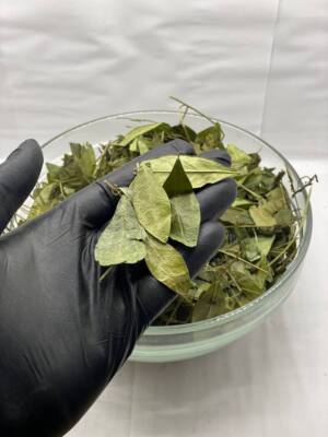 Periwinkle Leaf dried herb ( Vinca major ) ORGANIC from Carpathian mountain.