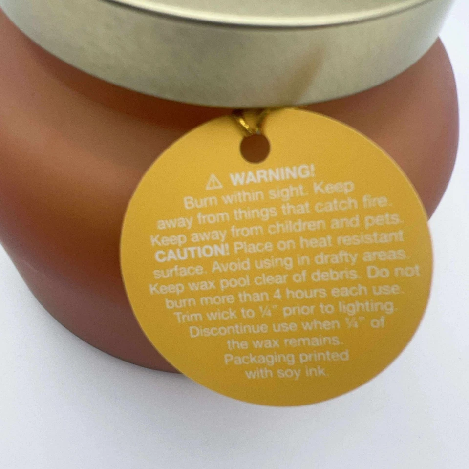 Otoño en otoño calabaza especias 18 oz tarro de vidrio vela 2 mechas nueva temporada Foto 3 de 4