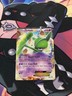Gallade EX XY45 Black Star Promo Holo Pokemon Card TCG