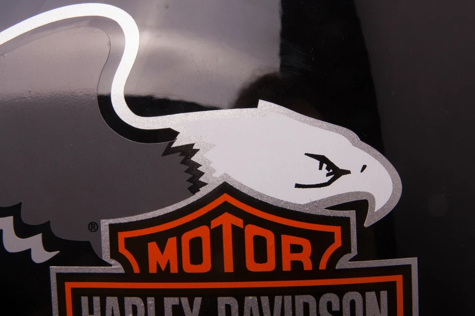 CALCOMANÍAS para Harley-Davidson Springer Softail FXSTS 1988-1989  Foto 2 de 4