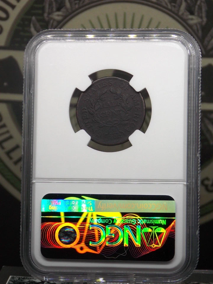 1805 Draped BUST Half Cent 1/2c NGC Fine Details #004 Fine ECC&C, Inc. - Image 4 of 4