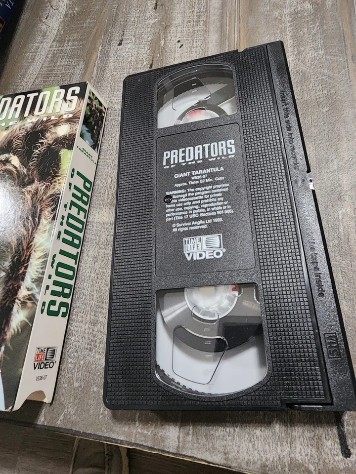 Predators of the Wild Giant Tarantula 1993 VHS Time Life Video - Image 3 of 3