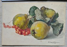 Paul Adolf Hauptmann Obst Stillleben Birne Vogelbeeren Aquarell signeirt um 1920