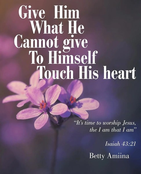 Betty Amiina | Give Him What He Cannot Give To Himself | Taschenbuch | Englisch-image