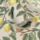 Foliage Cream / Orange Wallpaper Birds Botanical Lemon Leaf Trail Holden 13870