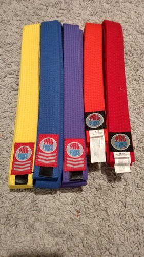 Karate Belts | 1.75 inch wide - SELECT Yellow, Purple, Orange, Red | Sizes 2,3,4