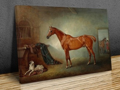 Chestnut Hunter Firebird and Policy  mounted canvas print ready to hang