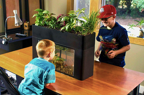 Indoor Sprouts Aquarium Garden Veggie Plants Ecosystem Grow Bed Home Light Bar - Picture 6 of 6