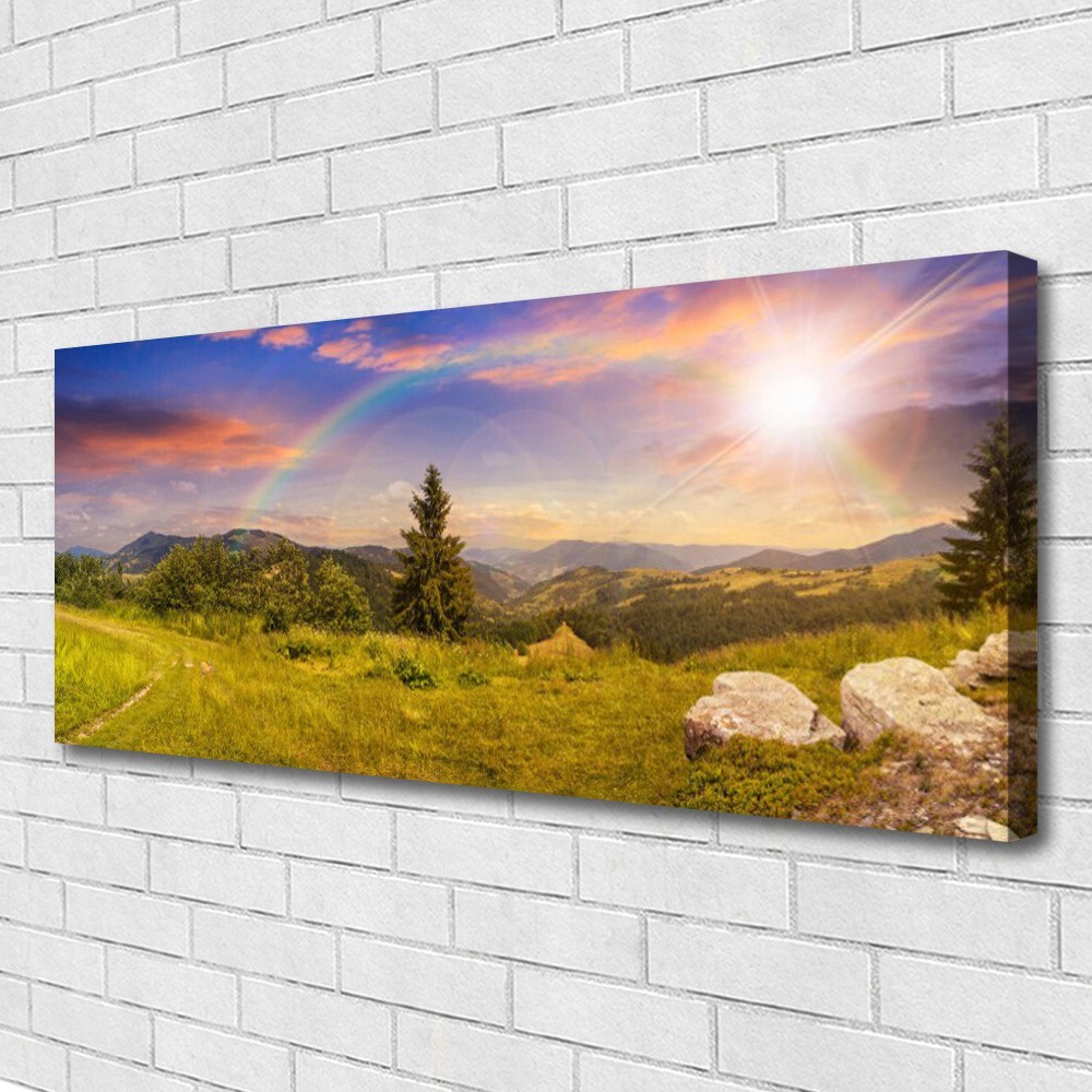 Impression sur toile haut de gamme paysage de montagne et prairie 125x50