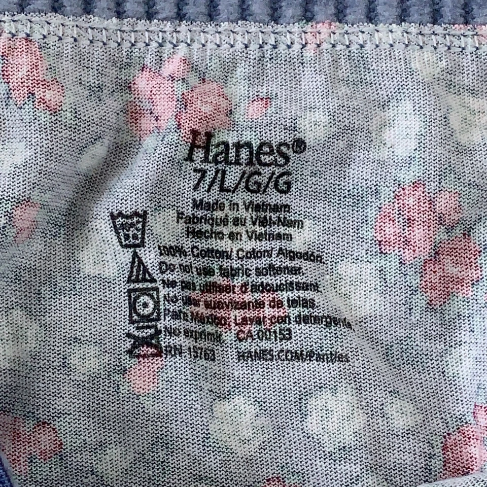 Paquete de 2 bragas de bikini Hanes para mujer talla 7/L beige azul floral algodón nuevas Foto 2 de 4