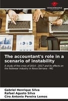 The Accountant's Role In A Scenario Of Instability Silva (U. A.) Taschenbuch