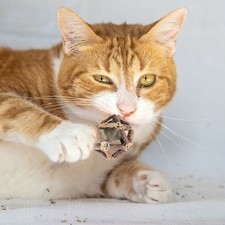 2.6" Universal Catnip Balls Natural Silvervine Stick Cage Ball