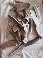 Mixed Lot Assorted Elk Antler Cut Pieces Dog Chews/Treats for Adult Dogs