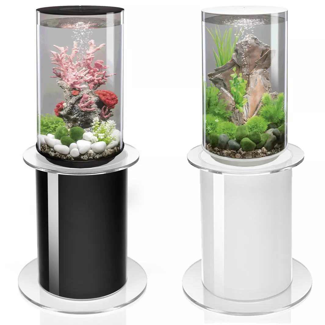 Fish aquarium with shop stand