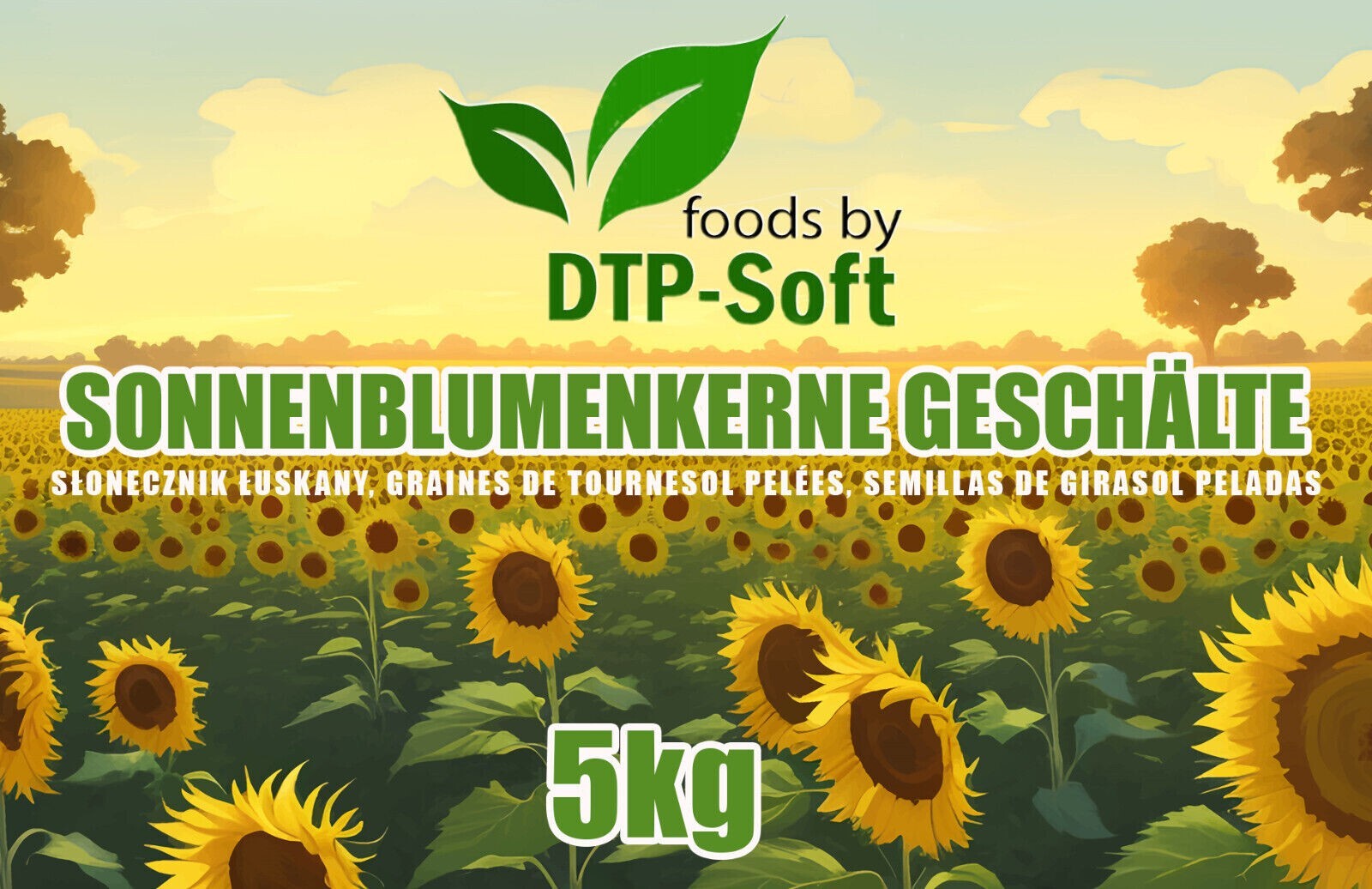 Bild 6 von 6