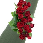 Bild 9 von 12