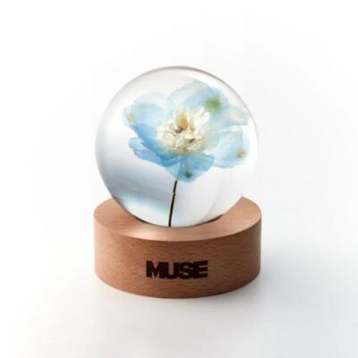 アイドル BTS Jimin [MUSE] Paper Weight BTS Jimin Muse BLOOMING ver. Flower Paper Weight acrylic K