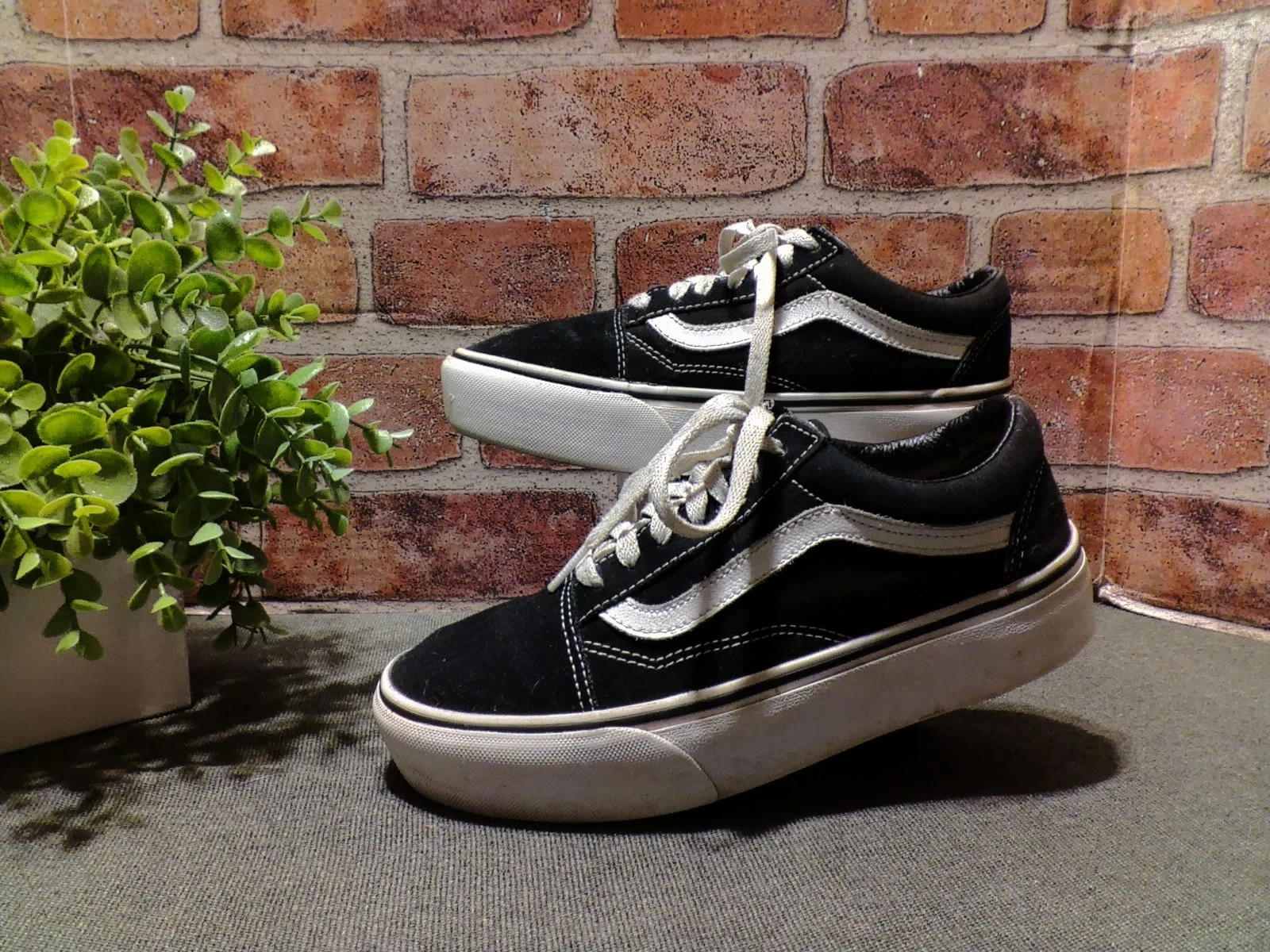 Vans Off The Wall Oldol Skools Canvasianco Nero Bia Sneake Skat Uom 5 W