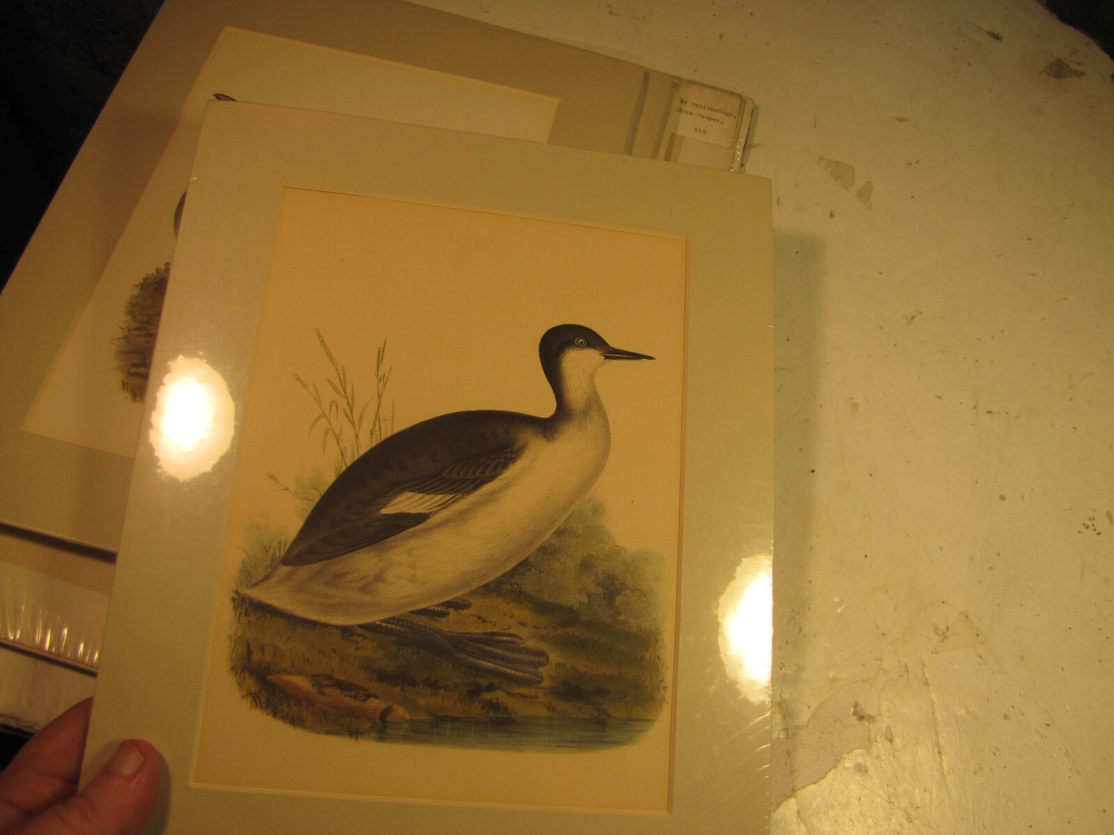 Bild 1 von 3