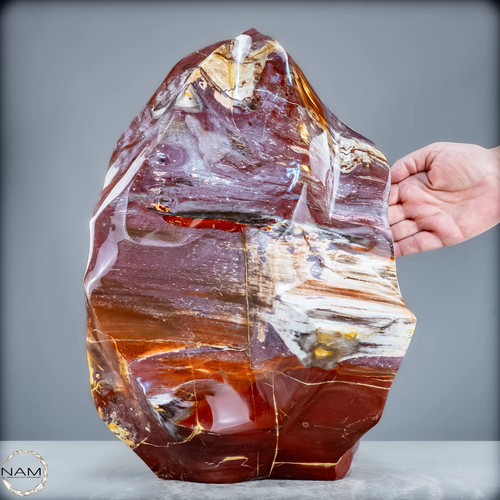 Natürliche Kristall-Flamme aus Versteinertem Holz – 21200,48 Natürliche Kristall-Flamme aus Versteinertem Holz – 21200,48