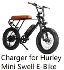 power supply Smart Charger for Hurley Mini Swell Electric Bike