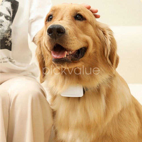 Anti Bark Dog Collar Auto Stop Barking Training Collar Obedience Rechargeable - Picture 12 of 13
