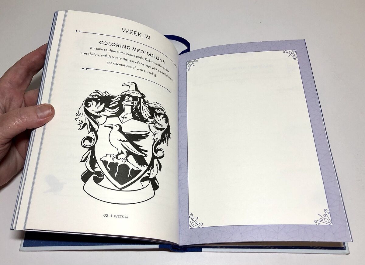 Harry Potter: Wisdom: A Guided Journal for Embracing Your Inner Ravenclaw  by Insight Editions