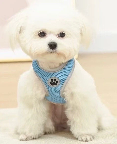 Dog Harness, No Pull Reflective Adjustable Breathable Mesh Paw Design S M L