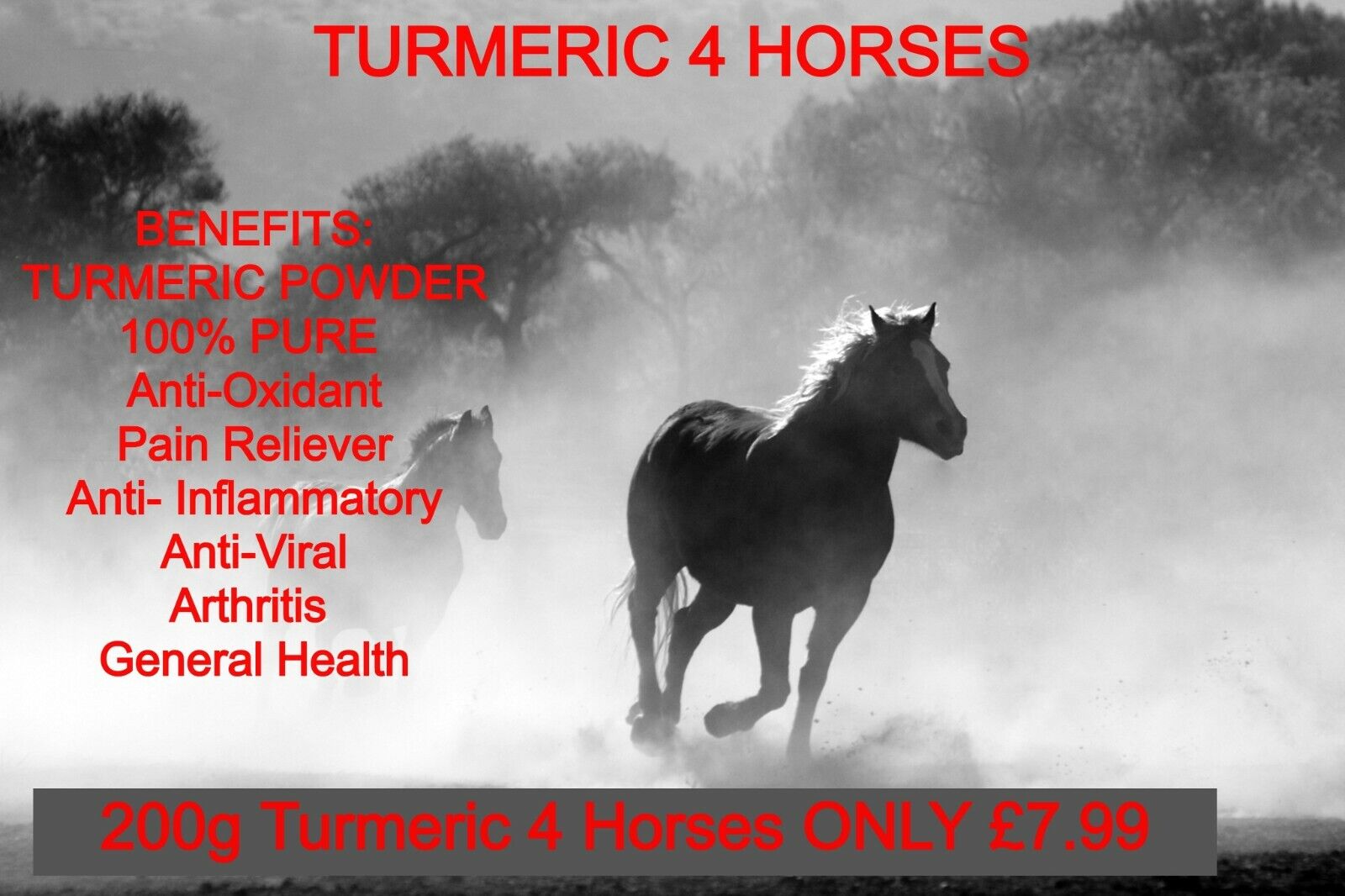 Turmeric powder supplement for horses, Pain Relief,Arithritis, Inflammation BEST