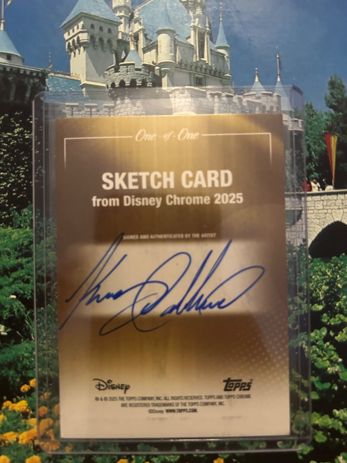 Kenny Calderon sig